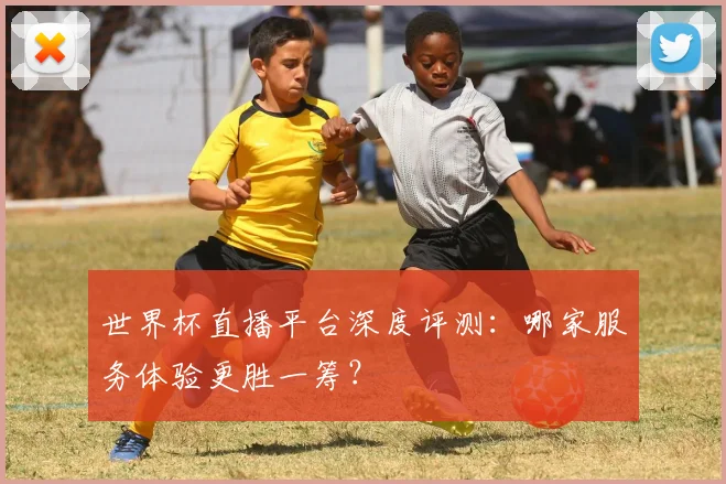 世界杯直播平台深度评测：哪家服务体验更胜一筹？