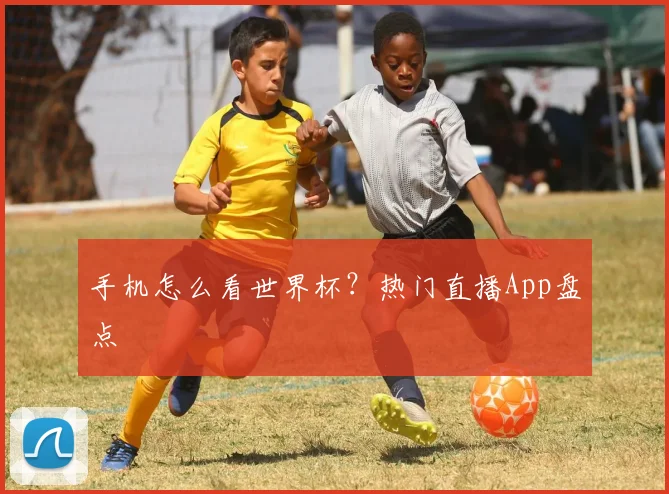 手机怎么看世界杯？热门直播App盘点