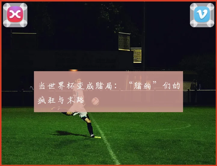 当世界杯变成赌局：“赌狗”们的疯狂与末路
