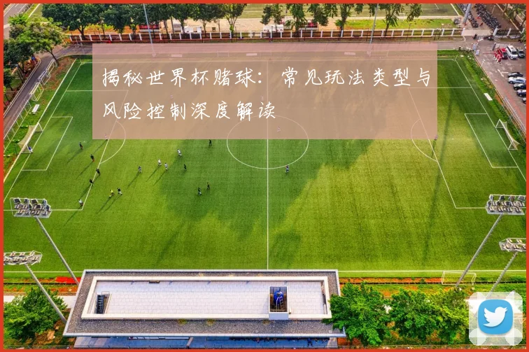 揭秘世界杯赌球:常见玩法类型与风险控制深度解读