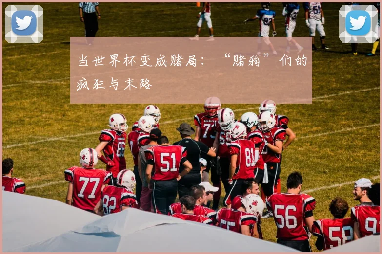 当世界杯变成赌局：“赌狗”们的疯狂与末路