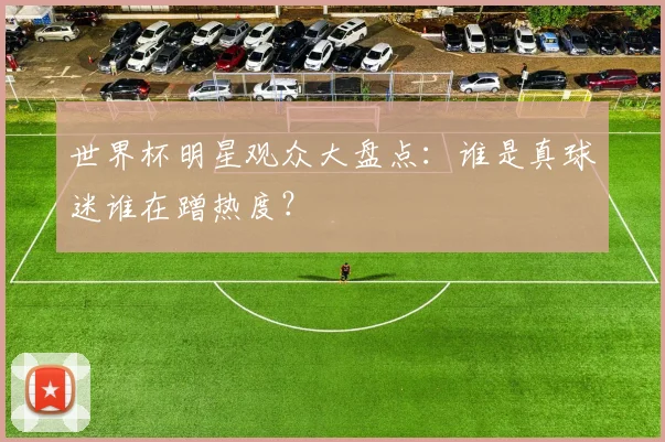 世界杯明星观众大盘点：谁是真球迷谁在蹭热度？